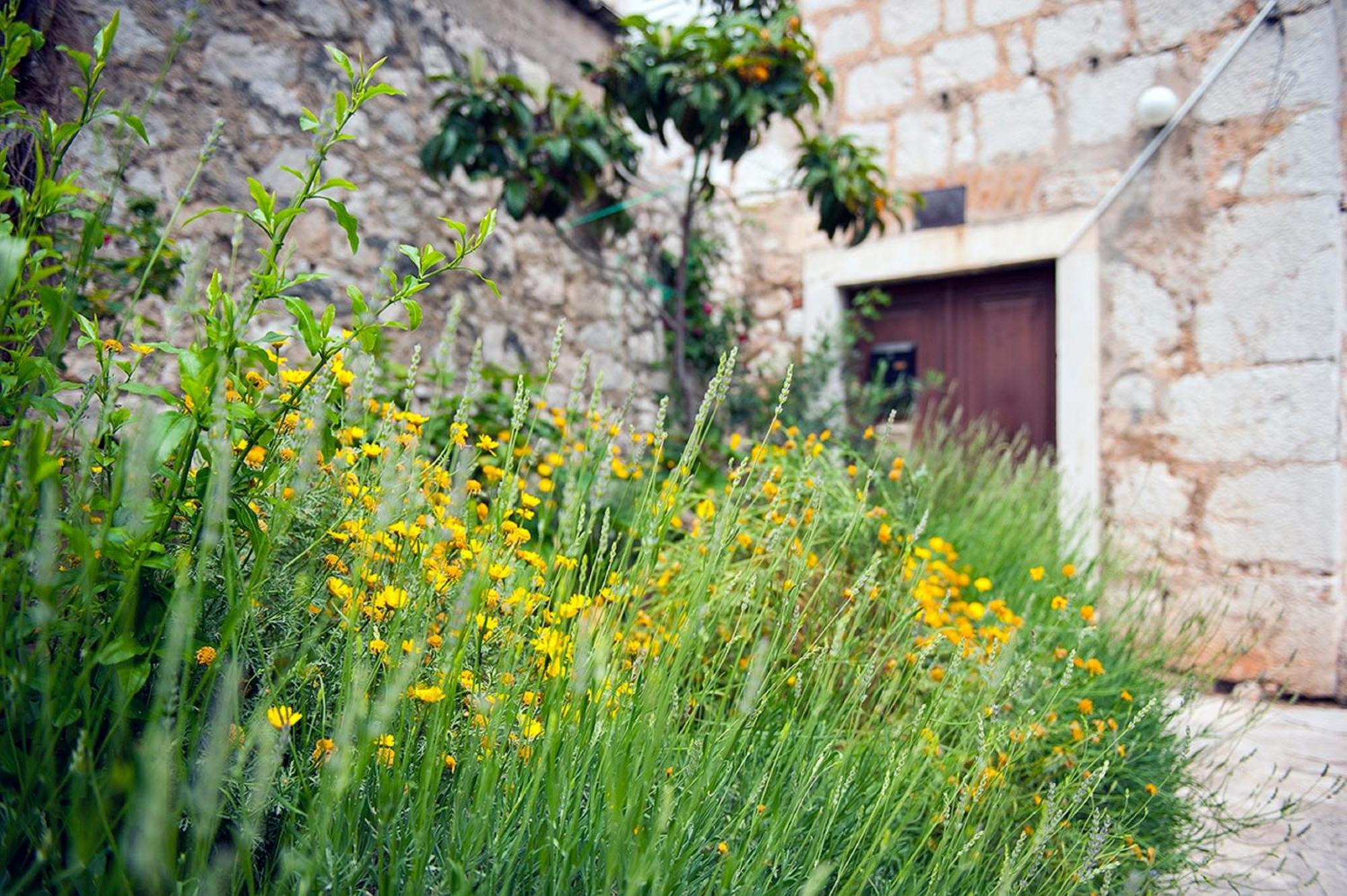 Dalmatian Garden - Free Parking - City Centre Шибеник Екстер'єр фото